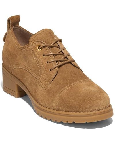 Cole Haan Camea Suede Oxford - Brown