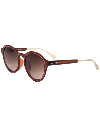 Linda Farrow Kris Van Assche By Linda Farrow Unisex Kva60 49mm Sunglasses - Brown