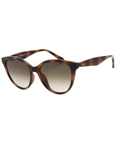 Ferragamo Sf1073S 54Mm Sunglasses - Brown