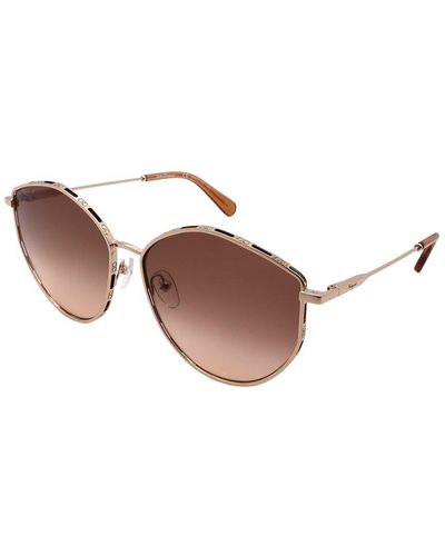 Ferragamo Sf264s 60mm Sunglasses - Brown