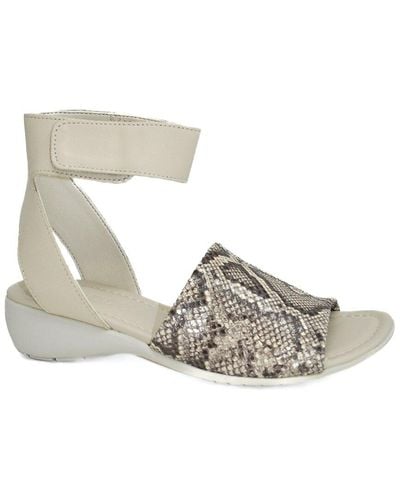 The Flexx Beglad Leather Sandal - Metallic