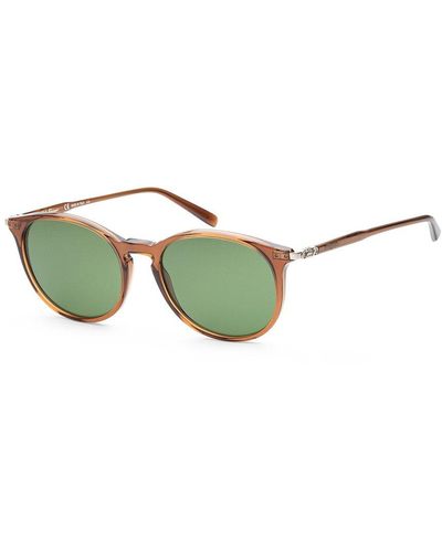 Ferragamo 53mm Sunglasses - Green