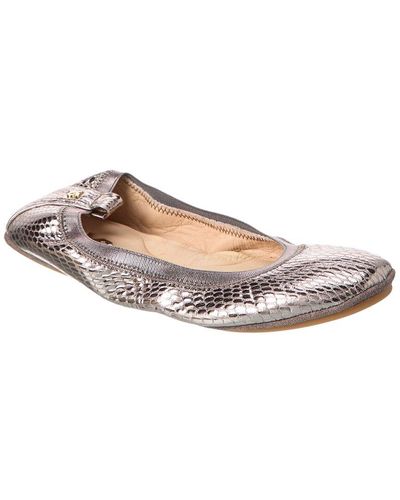 Yosi shop samra pewter