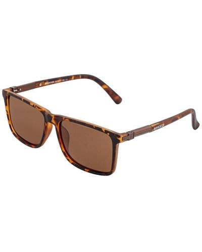 Breed Caelum 40x56mm Polarized Sunglasses - Brown