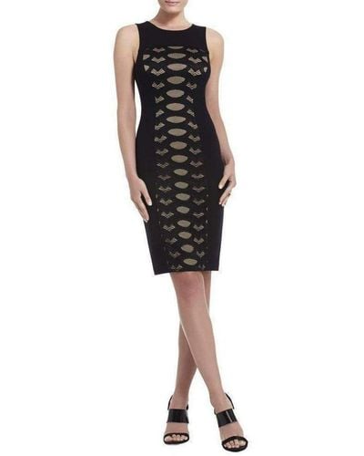BCBGMAXAZRIA Leona Lace Dress With Contrast Ponte Dress - Black