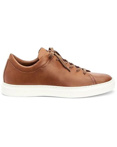 Aquatalia Alaric Low Top Leather Sneakers - Brown