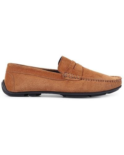 VELLAPAIS Begonia Suede Penny Driving Shoes - Brown