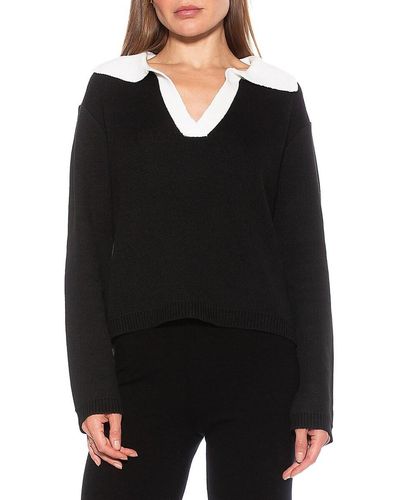 Alexia Admor Evander Colorblock Polo Sweater - Black