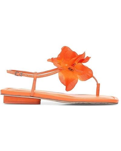 Franco Sarto Capriflore Floral T Strap Flat Sandals - Orange