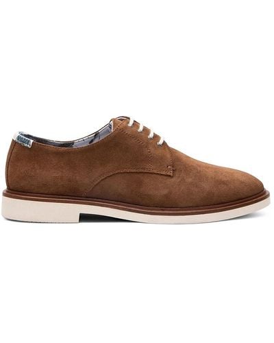 Paisley & Gray Suede Derby Shoes - Brown