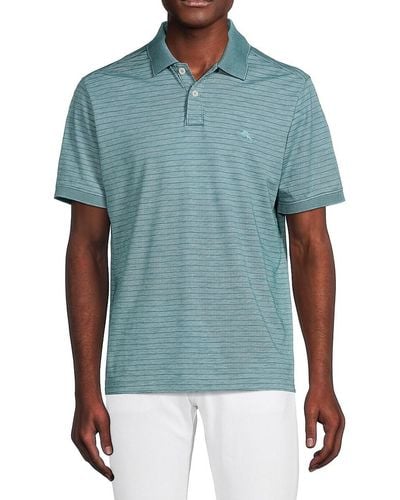 tommy bahama polo xxxl