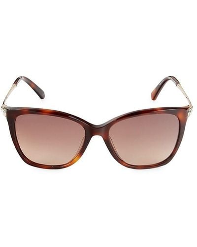 Swarovski 55mm Butterfly Sunglasses - Pink
