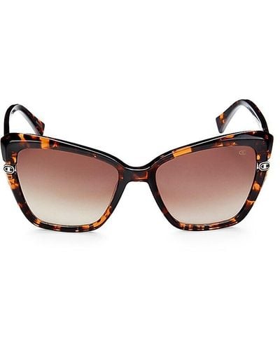 Champion 56mm Cat Eye Sunglasses - Brown