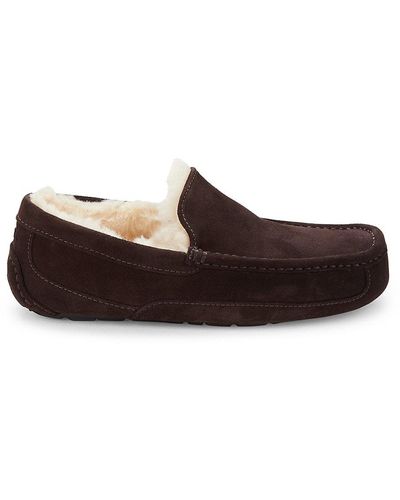 UGG Ascot Pure Suede Driving Shoes - Brown