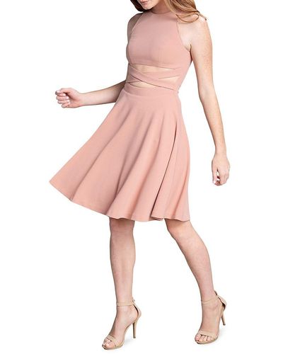 Dress the Population Mariela Cutout Fit & Flare Dress - Pink