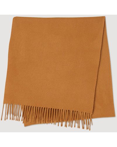 Sandro Wool And Cashmere Scarf - Brown