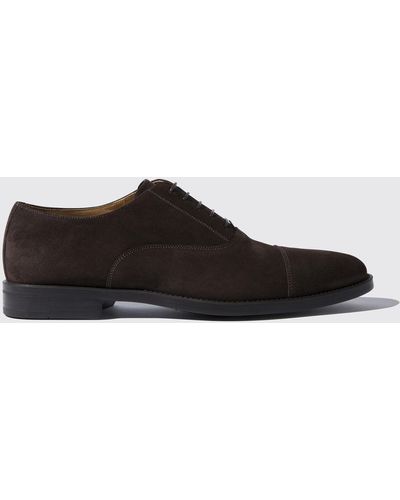 SCAROSSO Oxfords Cesare Moro Scamosciato Suede Leather - Brown