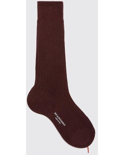 SCAROSSO Socks Burgundy Cotton Calf Socks Cotton - Purple