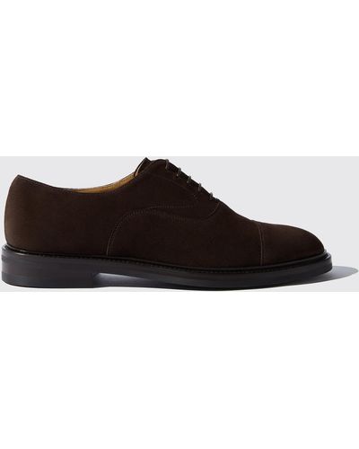 SCAROSSO Scarpe Oxford Jacob Brown Suede Camoscio - Marrone