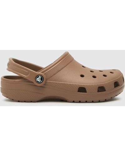 Crocs™ Classic Clog Sandals In - Brown