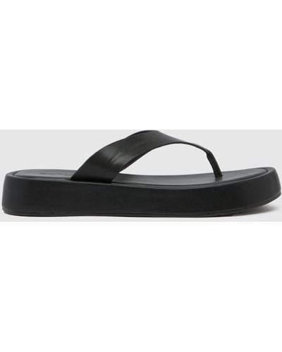 Schuh Tabitha Toe Thong Sandals In - Black