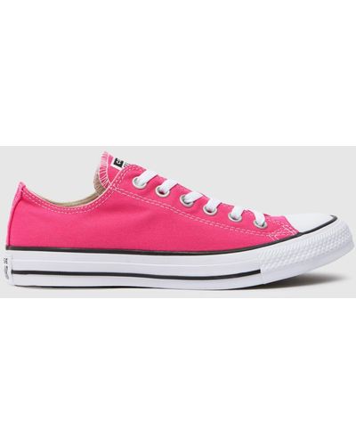 Converse All Star Ox Trainers In - Pink