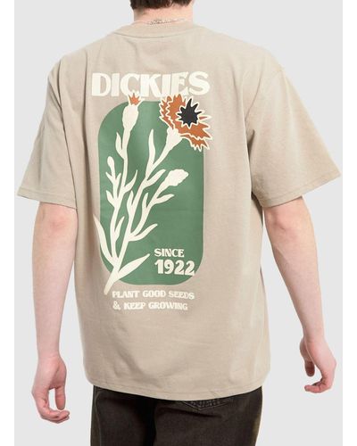 Dickies Herndon T-shirt In - Natural