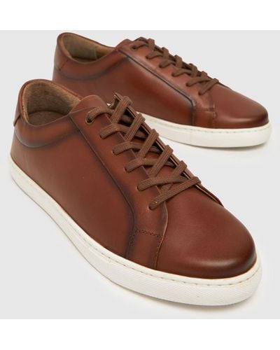 Schuh Wayne Leather Trainers In - Brown