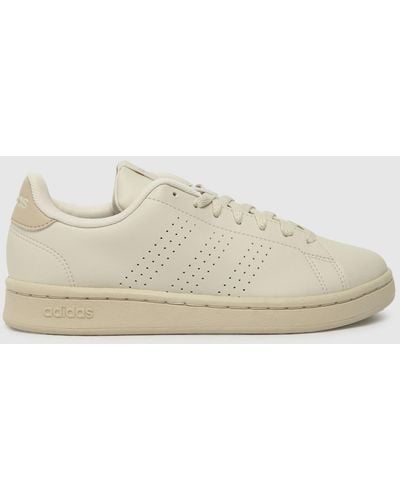 Adidas advantage base online beige