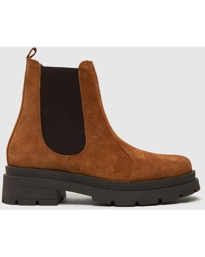 Schuh Ace Suede Chelsea Boots In - Brown