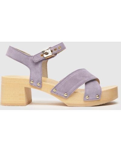 Scholl Pescura Cate Sandals In - Purple