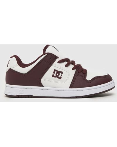 Dc Manteca 4 Sn Trainers In White & Burgundy - Brown