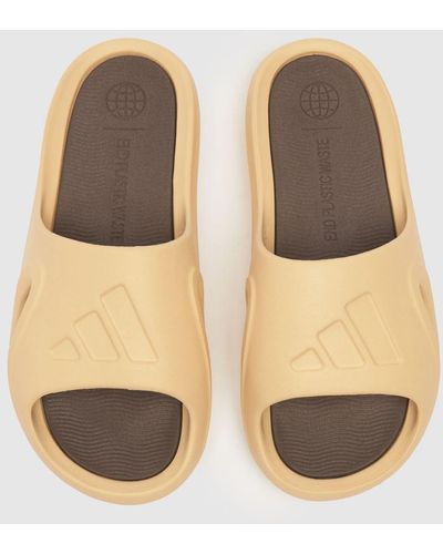 adidas Ladies Adicane Slide Sandals - Natural