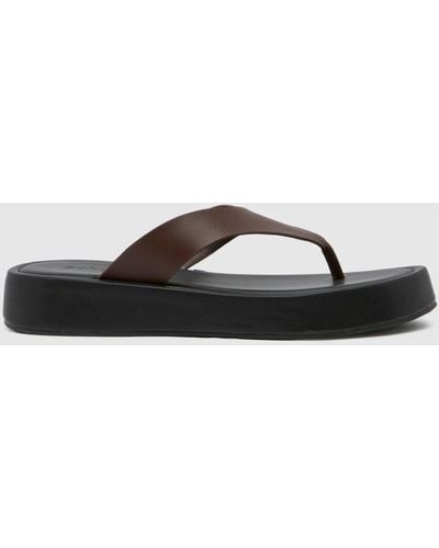 Schuh Tabitha Toe Thong Sandals In - Brown