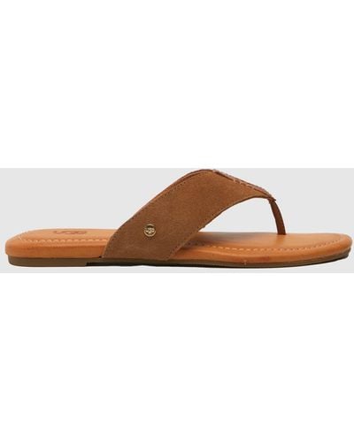 UGG Carey Flip Flop Sandals In - Brown