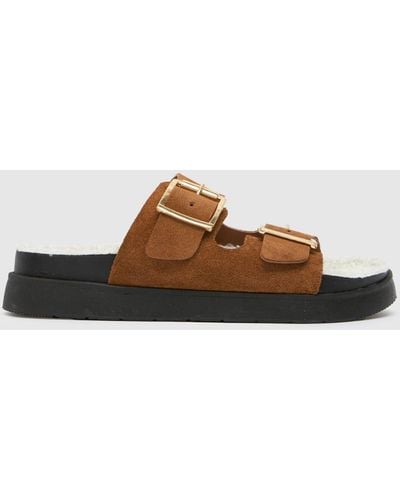 Schuh Truvy Sock Buckle Sandals In - Brown