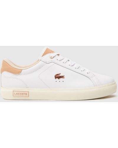 Lacoste clearance pumps sale