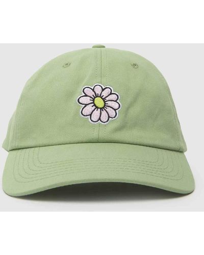 Santa Cruz Wildflower Cap - Green