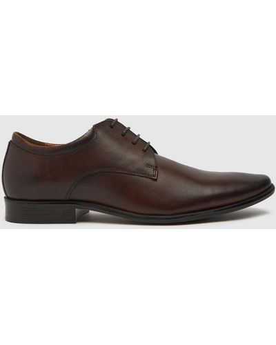 Schuh Ray Leather Derby Shoes In - Brown
