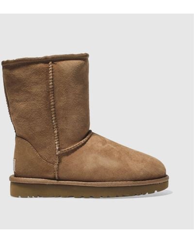 UGG ugg Classic Short Ii Boots In - Brown