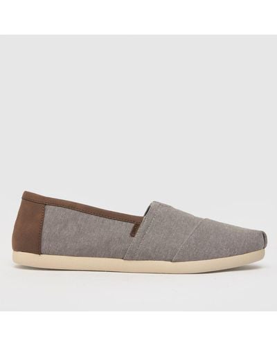 TOMS Alpargata Vegan Shoes In - Grey