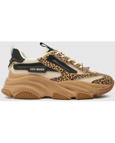 Steve Madden Possession-e Trainers In - Brown