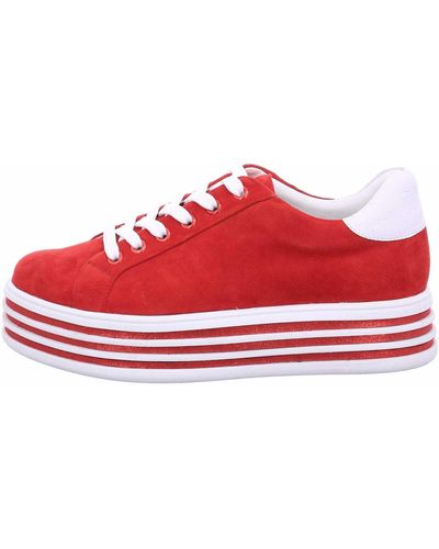 Tizian Sneaker - Rot