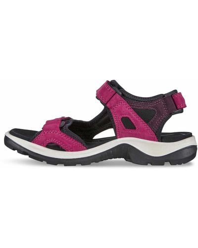 Ecco Outdoor sandalen - Pink