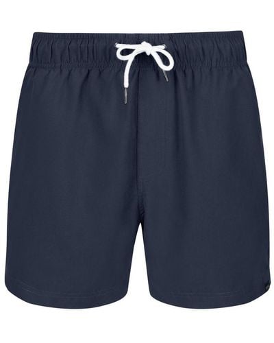 Regatta Mawson Ii Swim Shorts () - Blue