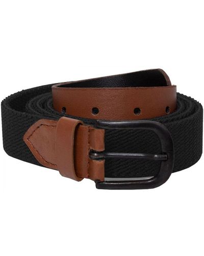 Enzo Accessories Belt - Brown