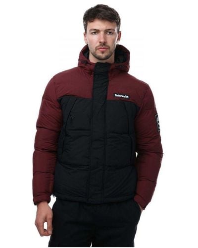 Timberland Outdoor Archive Puffer Jacket - Red
