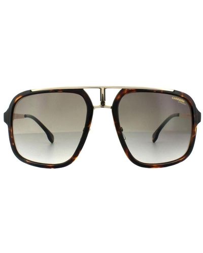 Carrera Square Havana Gradient Sunglasses Metal - Brown