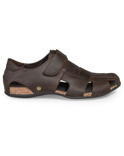 Panama Jack Fletcher Basic C1 Leather Sandals - Brown