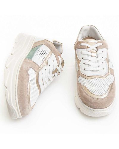 Purapiel Sneaker Titanium In Veelkleurige - Wit